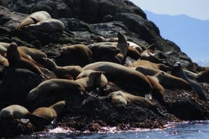 Gah what a day time to kick back