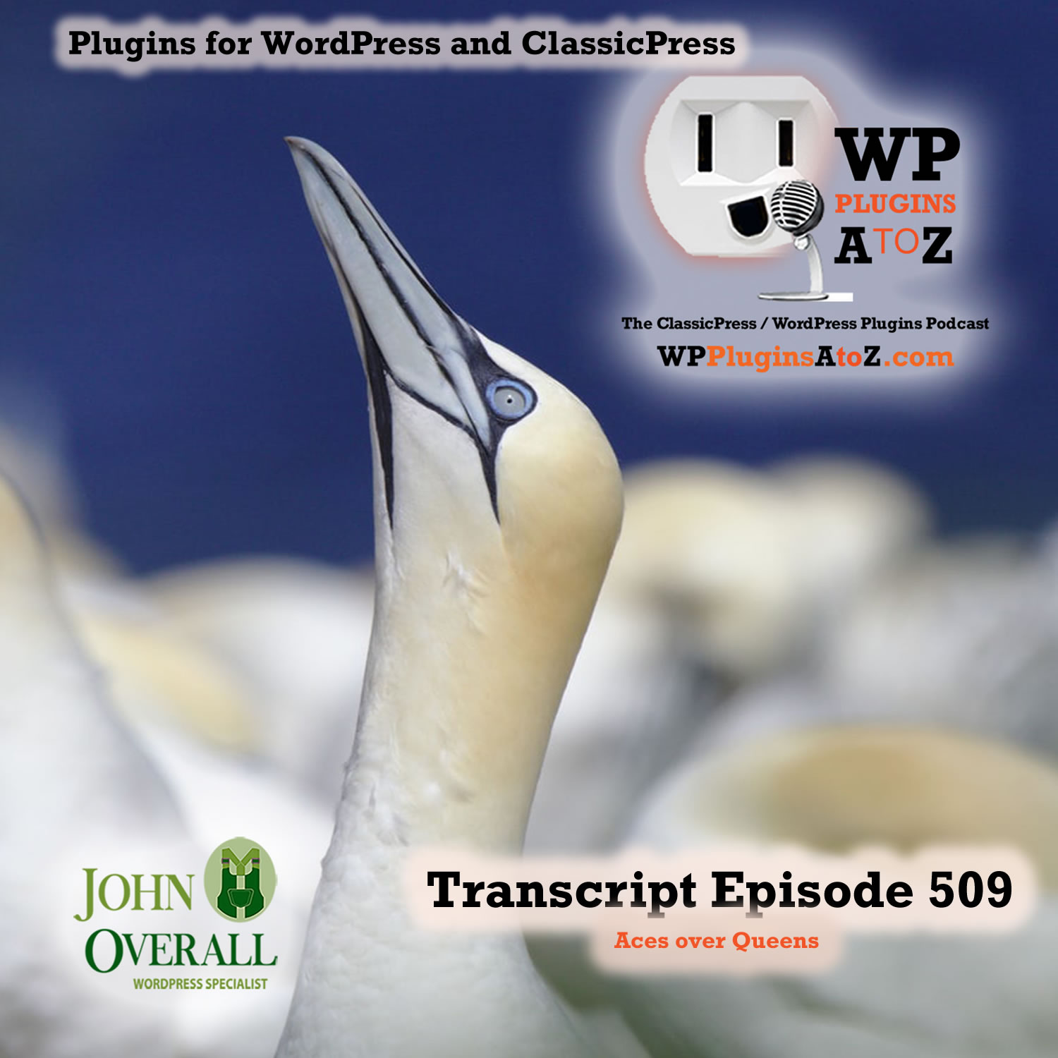 Aces over Queens It's Episode 509 - We have plugins for Mail Tracking, Business Directory, Migrations, Custom user Profiles, Registration Management, and ClassicPress Options. It's all coming up on WordPress Plugins A-Z!