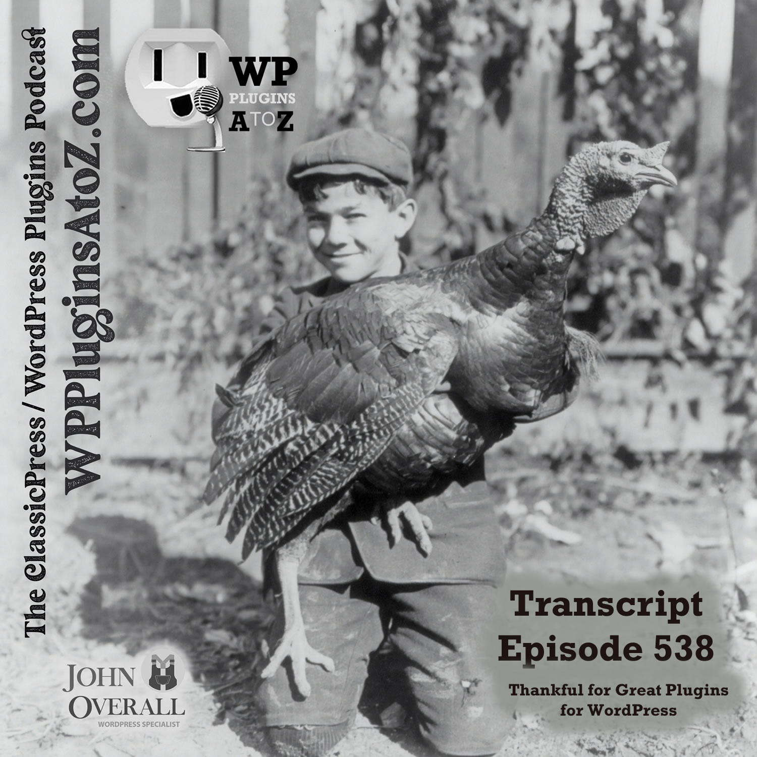 Transcript for Episode 538 and we have plugins for: Country Addons, Applying for Jobs, XMas says Hello!, Dokan Vendoring, Seed Tracing, QRing... and ClassicPress Options. It's all coming up on WordPress Plugins A-Z!