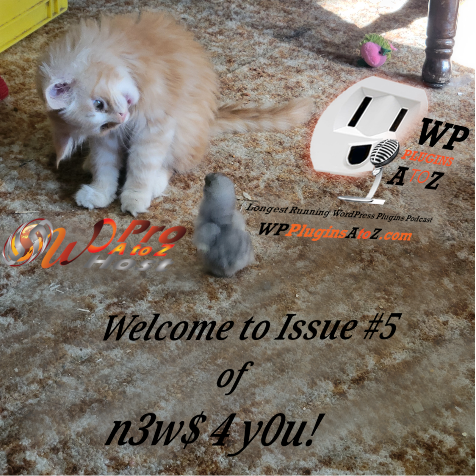 Welcome to Issue #5 of WordPress N3w$ 4 Y0u! We've got some WordPress and other n3w$ for y0u - tis the latest from the last week or so, all cobbled together for you by your favourite WordPress Plugins A-Z Worker Bees!