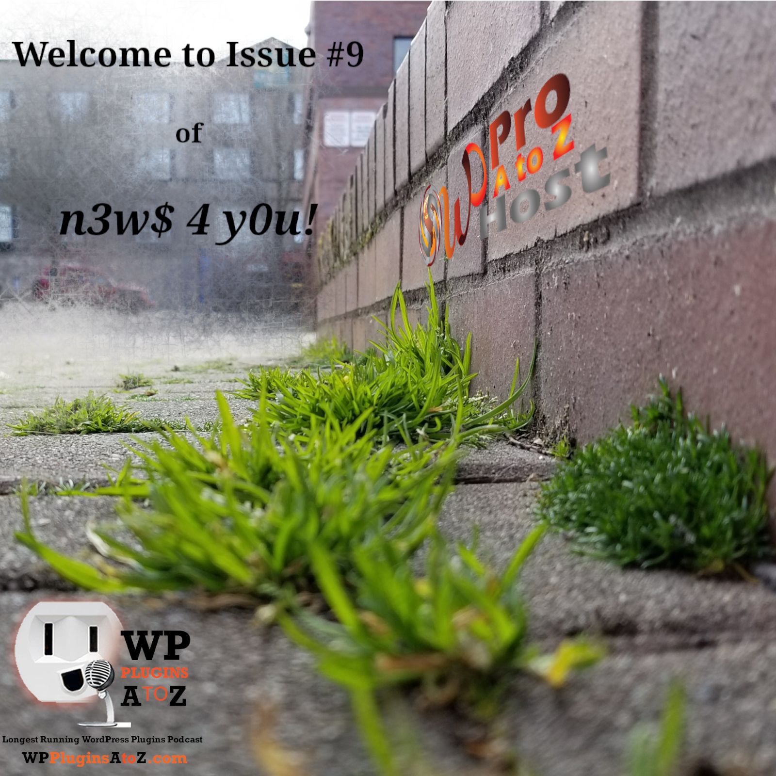 Welcome to Issue #9 of WordPress N3w$ 4 Y0u! We've got some WordPress and other n3w$ for y0u - tis the latest from the last week or so, all cobbled together for you by your favourite WordPress Plugins A-Z Worker Bees!